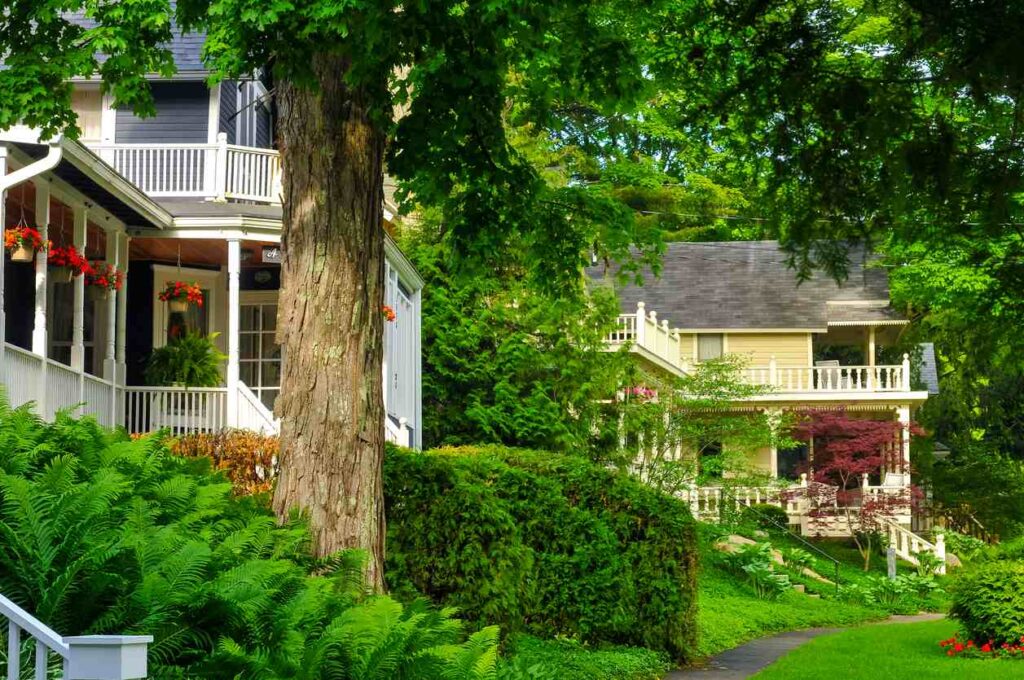 Quaint old homes line a tree-shaded street in an older neighborhood.